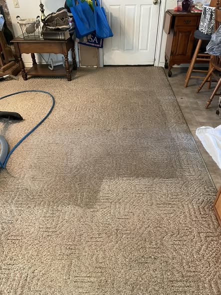 Carpet being cleaned with hot-water extraction wand — showing clean vs dirty split