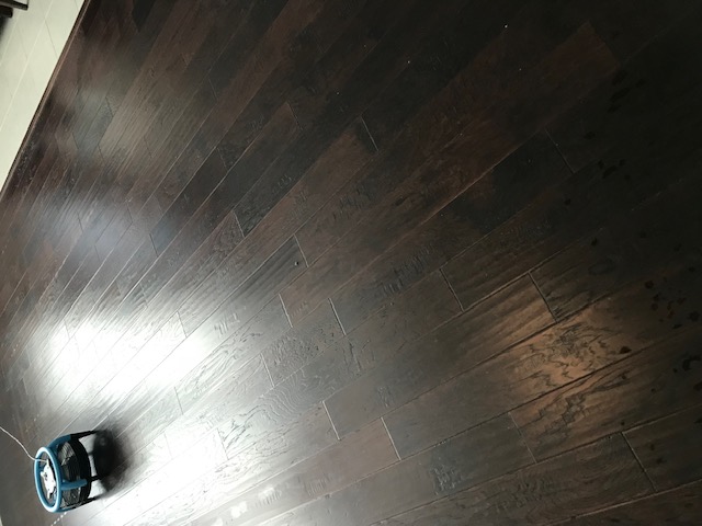 Polished dark hardwood floor showing rich deep luster after professional cleaning in Hunt County, TX
